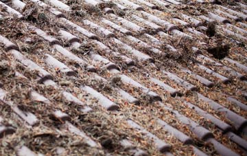 Greynor roof cleaning companies