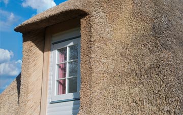 Greynor thatch roof disadvantages