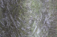 Greynor fibreglass roof work