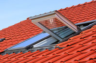 Greynor roof window